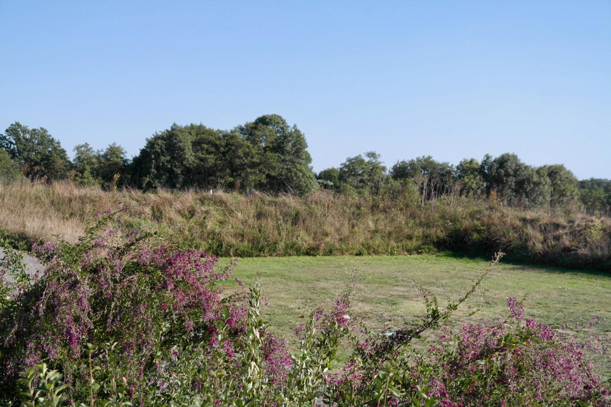 Maison De Campagne Pour 6 Avec Piscine Commequiers Luaran gambar